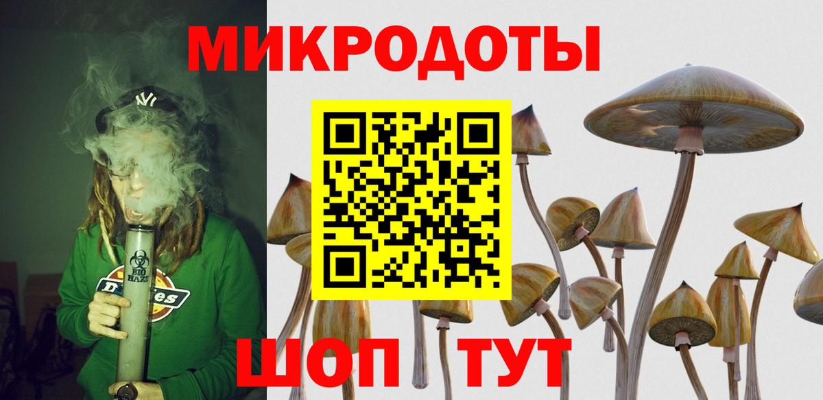 Псилоцибиновые грибы MAGIC MUSHROOMS Кольчугино