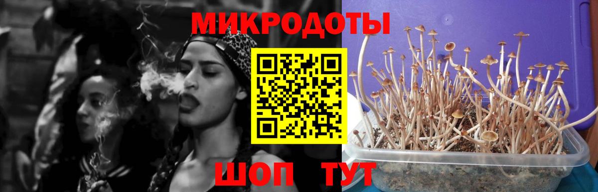 Псилоцибиновые грибы прущие грибы  Вход с VPN  Кольчугино 